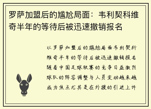 罗萨加盟后的尴尬局面：韦利契科维奇半年的等待后被迅速撤销报名