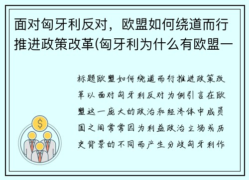 面对匈牙利反对，欧盟如何绕道而行推进政策改革(匈牙利为什么有欧盟一票否决权)